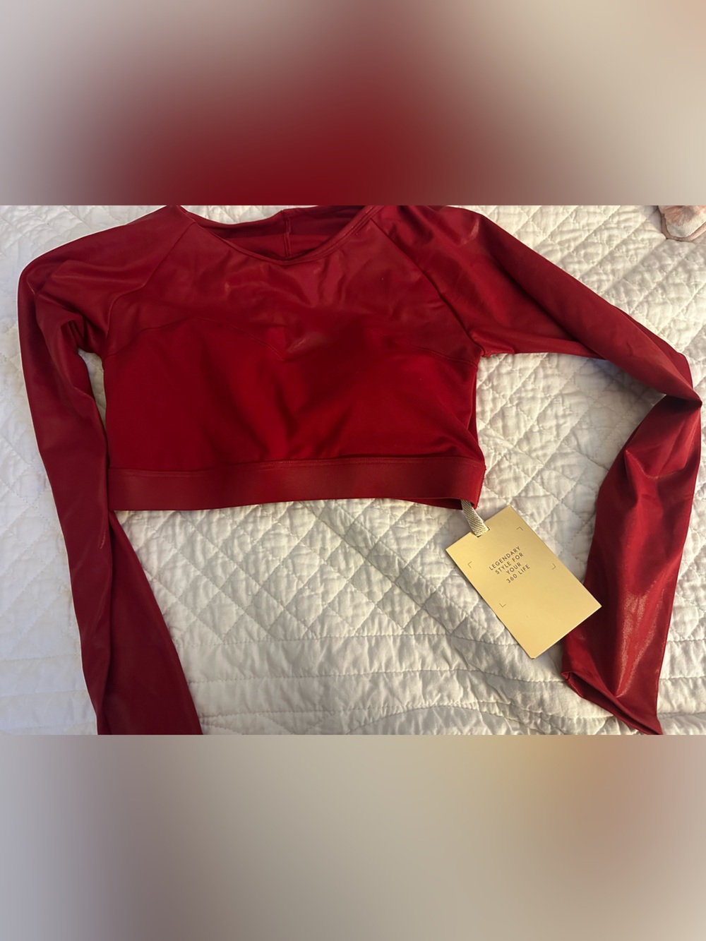 Fabletics Long Sleeve Crop Top